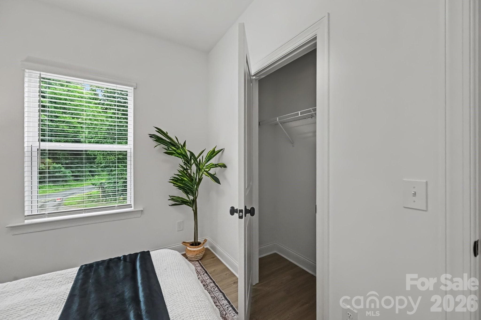 Natural light fills the primary bedroom. - 45 E 13th Street, Newton