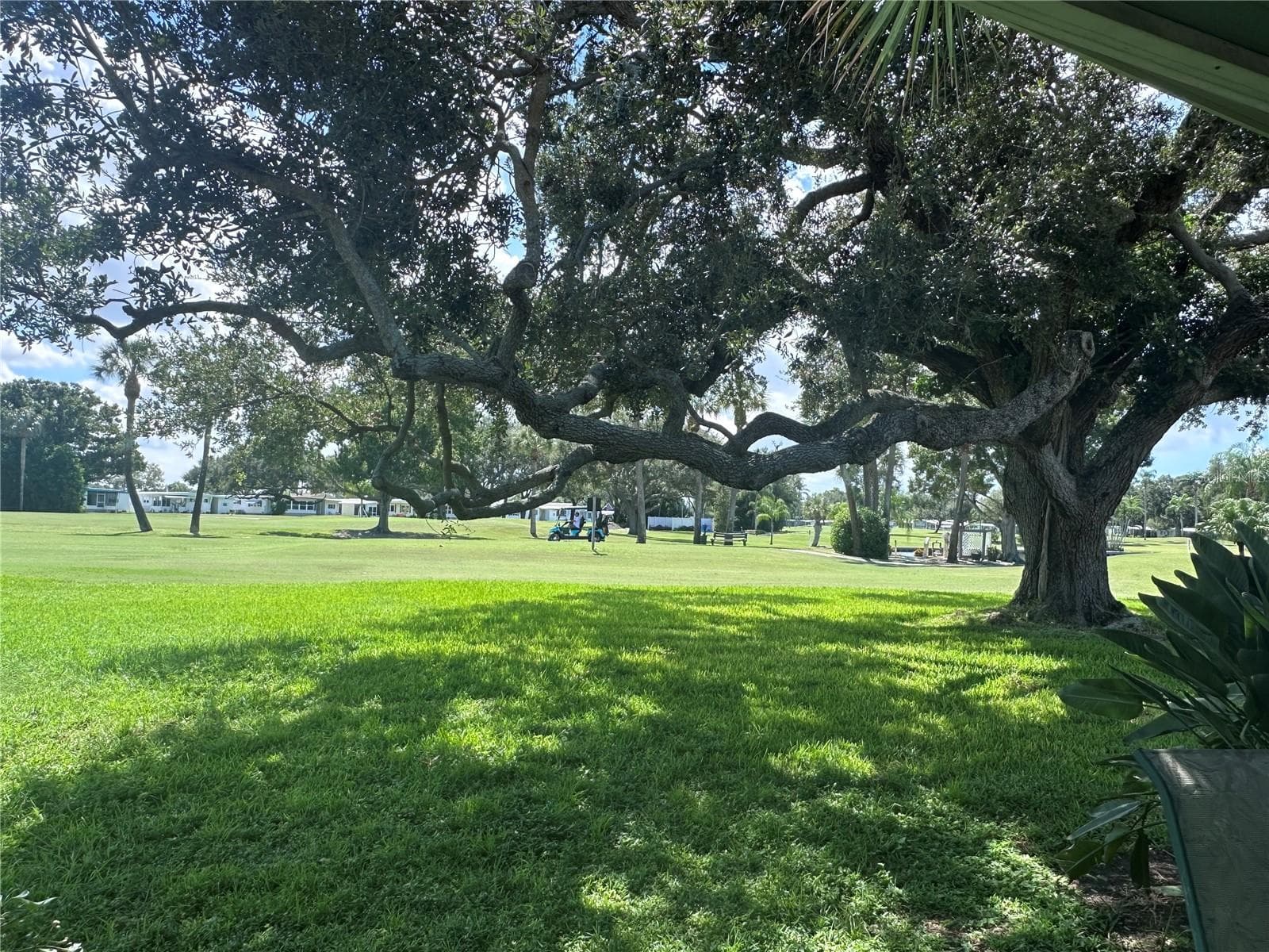 View from back patio - 1100 BELCHER RD S #417, LARGO