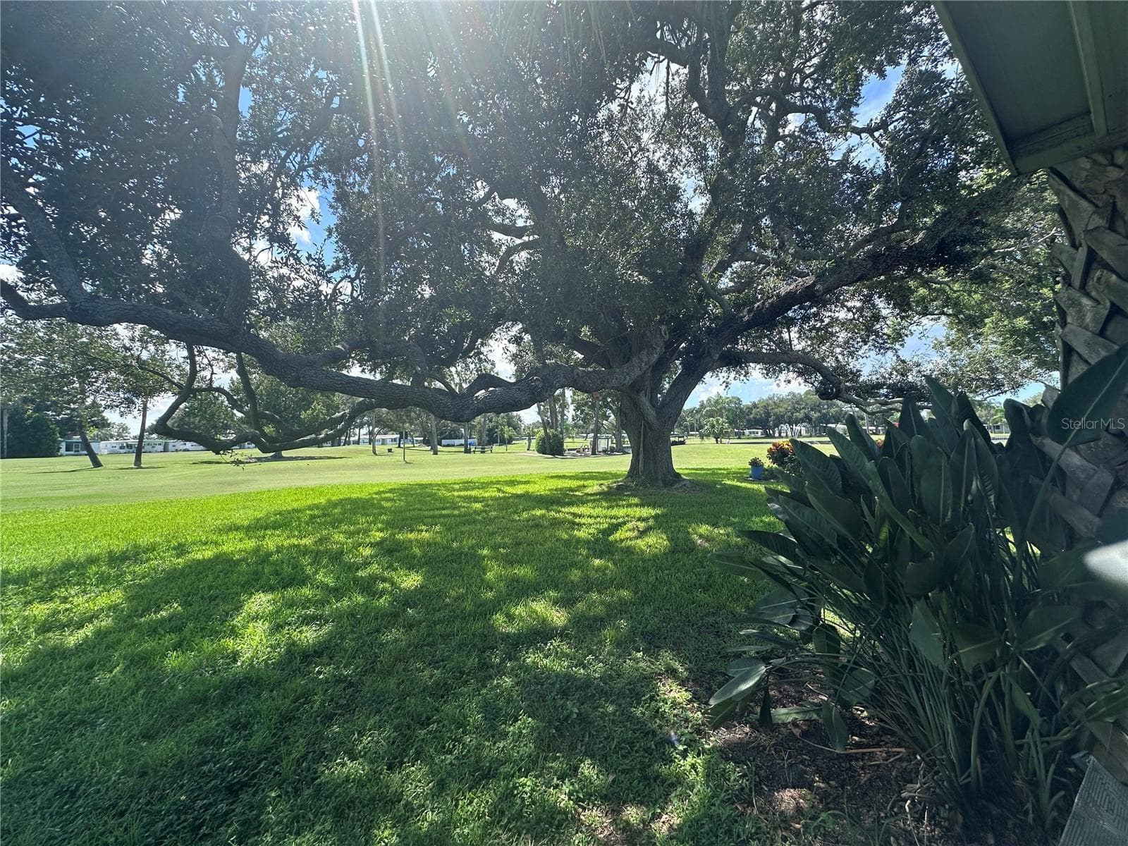 9th tee box and 8th green. - 1100 BELCHER RD S #417, LARGO