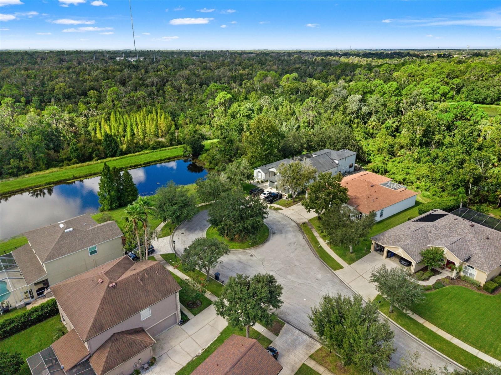 Single Family Residence at 6111 HERONCREST CT, LITHIA, photo 3 of 57