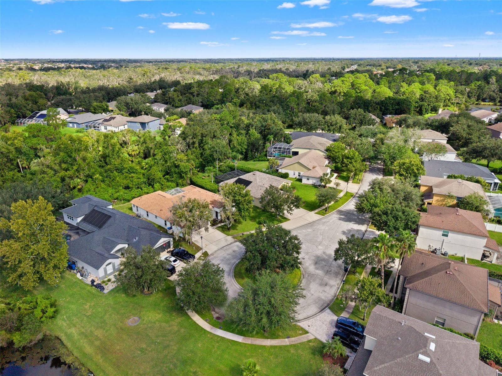 Single Family Residence at 6111 HERONCREST CT, LITHIA, photo 54 of 57