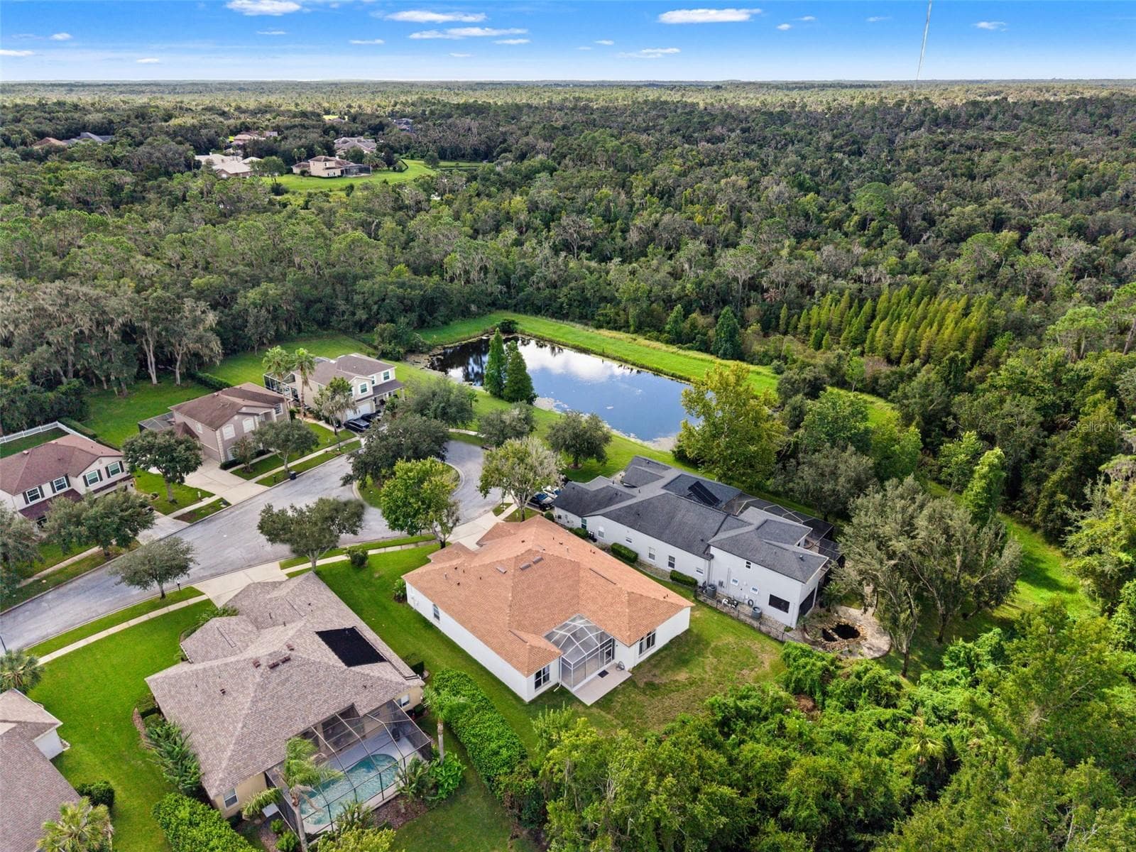 Single Family Residence at 6111 HERONCREST CT, LITHIA, photo 56 of 57
