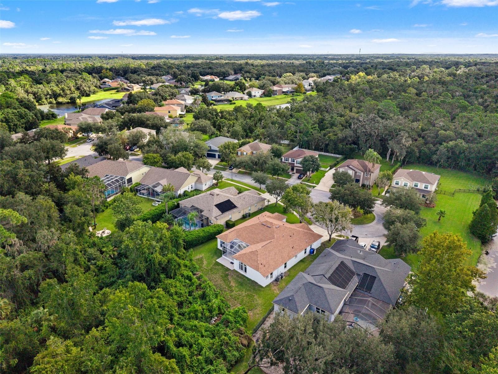 Single Family Residence at 6111 HERONCREST CT, LITHIA, photo 55 of 57