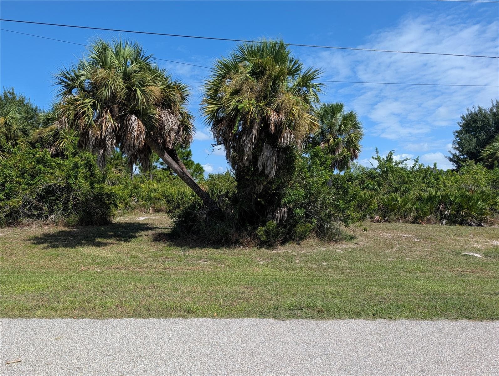 168 LIME TREE PARK