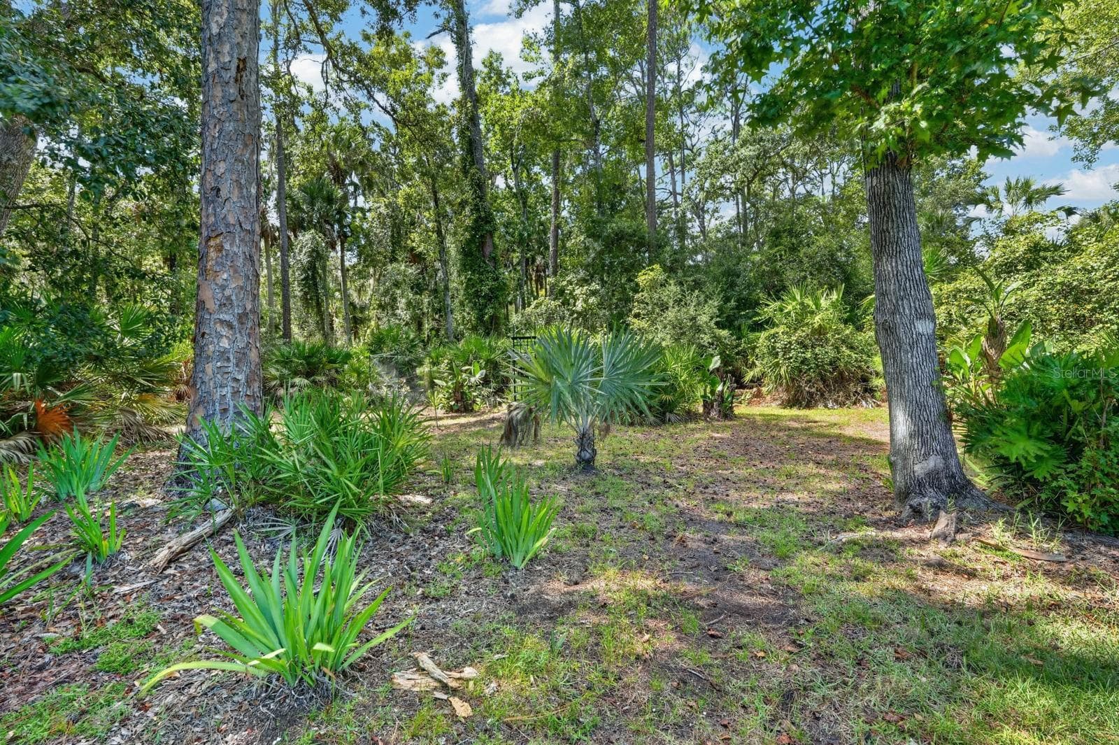 Preserve Views - 4 SCARLET OAK CIR, PALM COAST