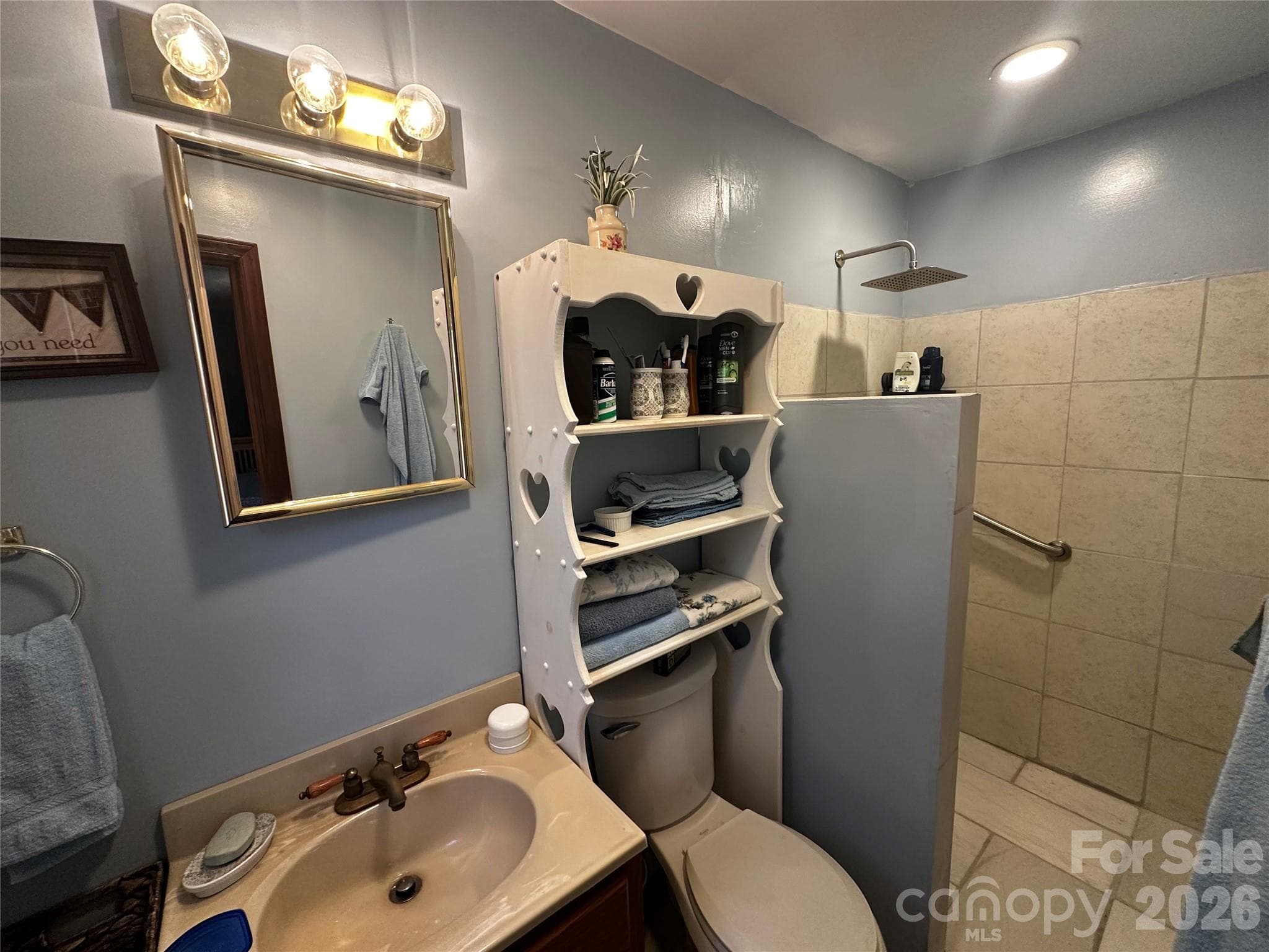 Ensuite Bathroom with walk in shower - 1467 Airport Road, Pageland