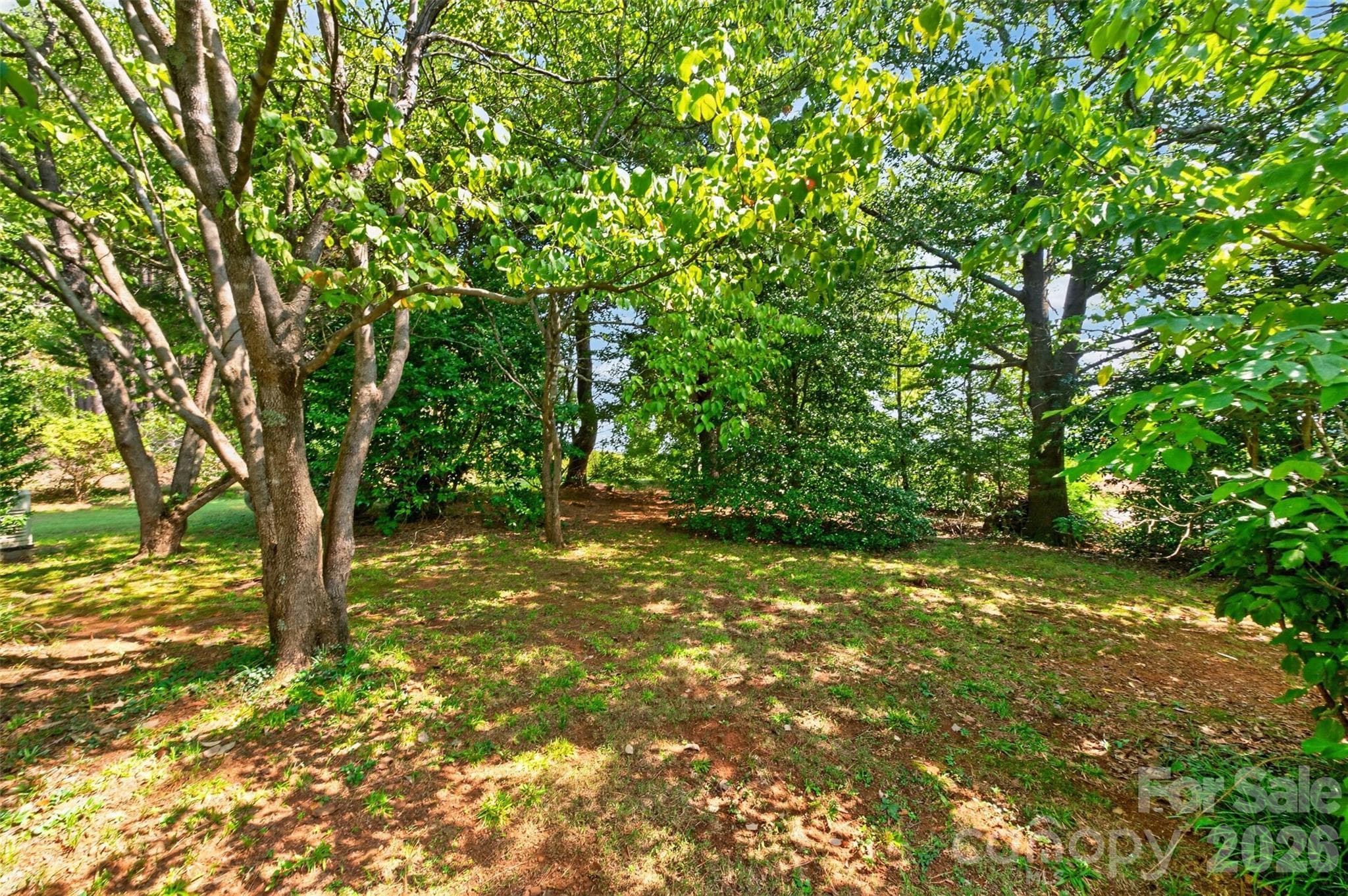 Single Family Residence at 3175 Lynn Mountain Road, Vale, photo 7 of 48