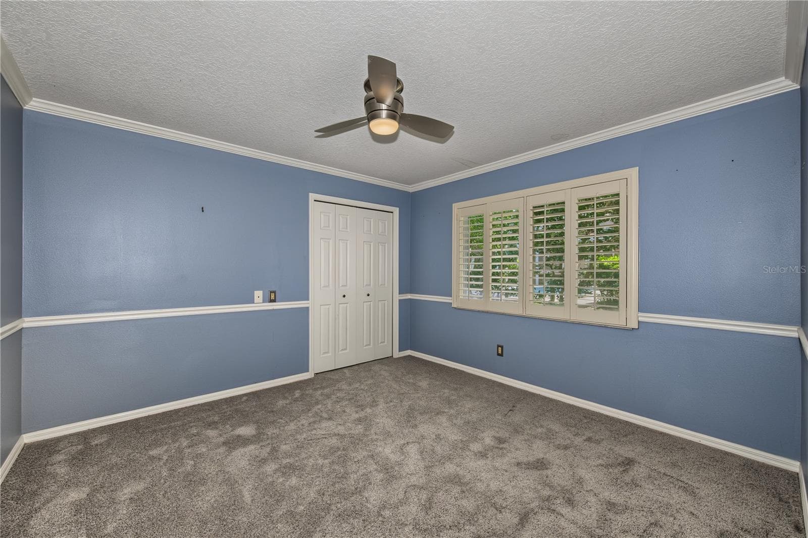 2nd bedroom - 2233 PINNACLE CIR S, PALM HARBOR
