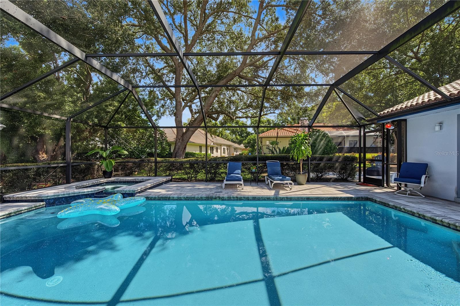 pool and jacuzzi area - 2233 PINNACLE CIR S, PALM HARBOR