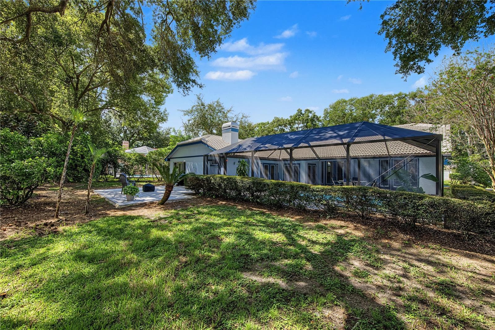 backyard - 2233 PINNACLE CIR S, PALM HARBOR