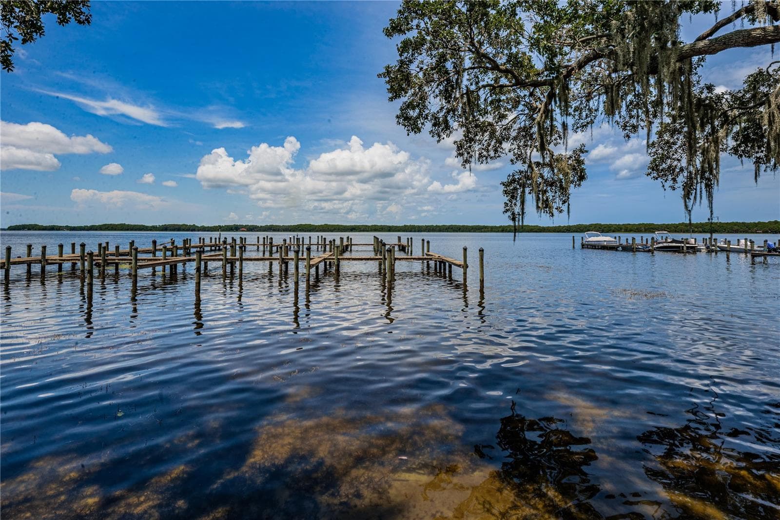 Cobb's Landing boat dock area - 2233 PINNACLE CIR S, PALM HARBOR
