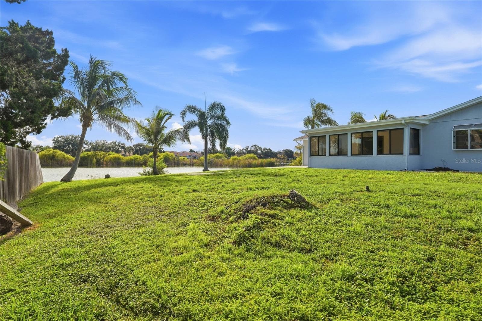 Backyard - 3667 CAROL LN, SARASOTA