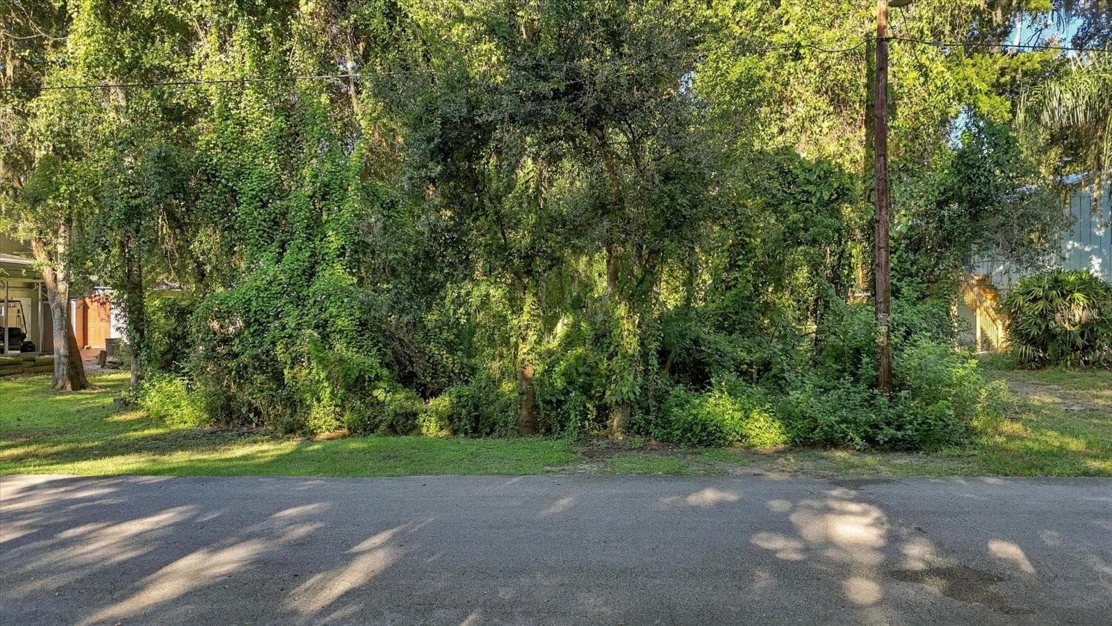Land at 6872 S HOLLY OAK PT, HOMOSASSA, photo 4 of 17