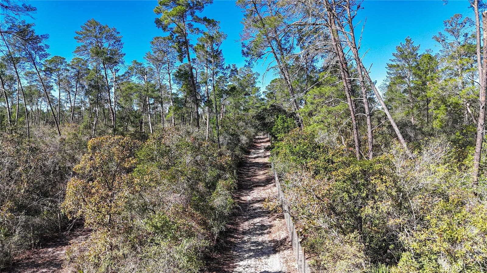 Land at 6646 N PERCALE TER, DUNNELLON, photo 4 of 23