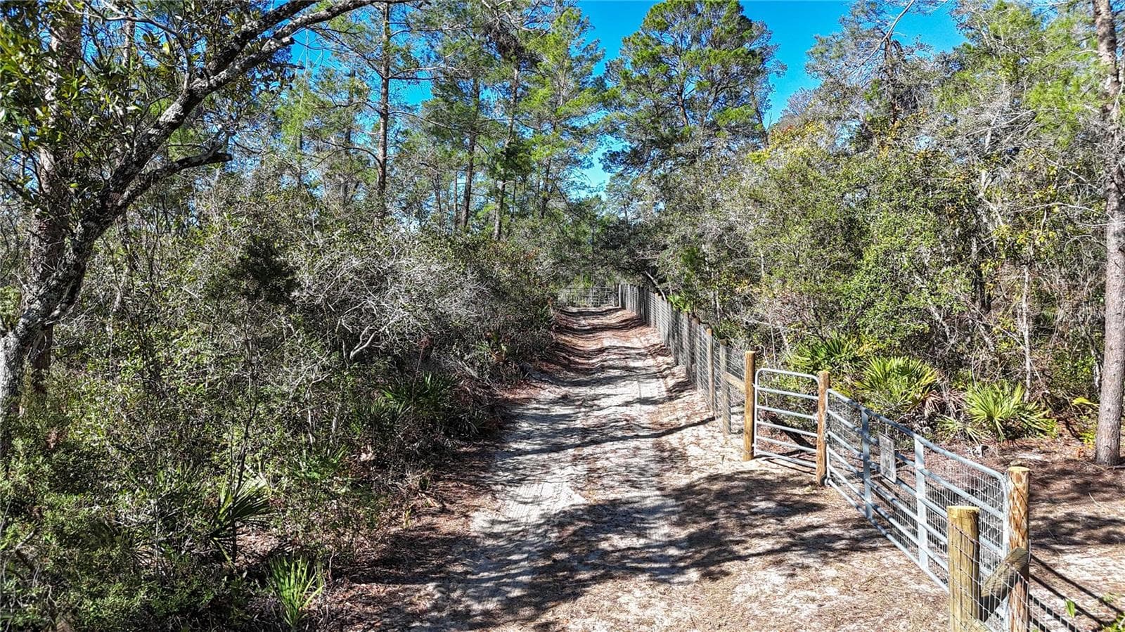Land at 6646 N PERCALE TER, DUNNELLON, photo 5 of 23