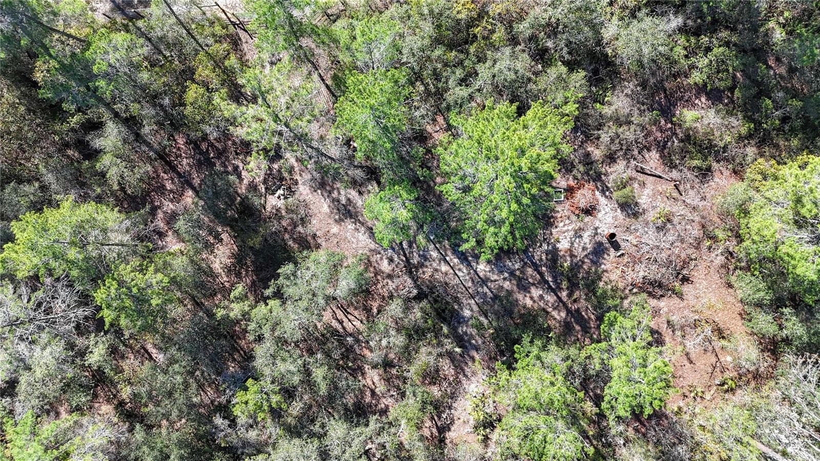 Land at 6646 N PERCALE TER, DUNNELLON, photo 19 of 23