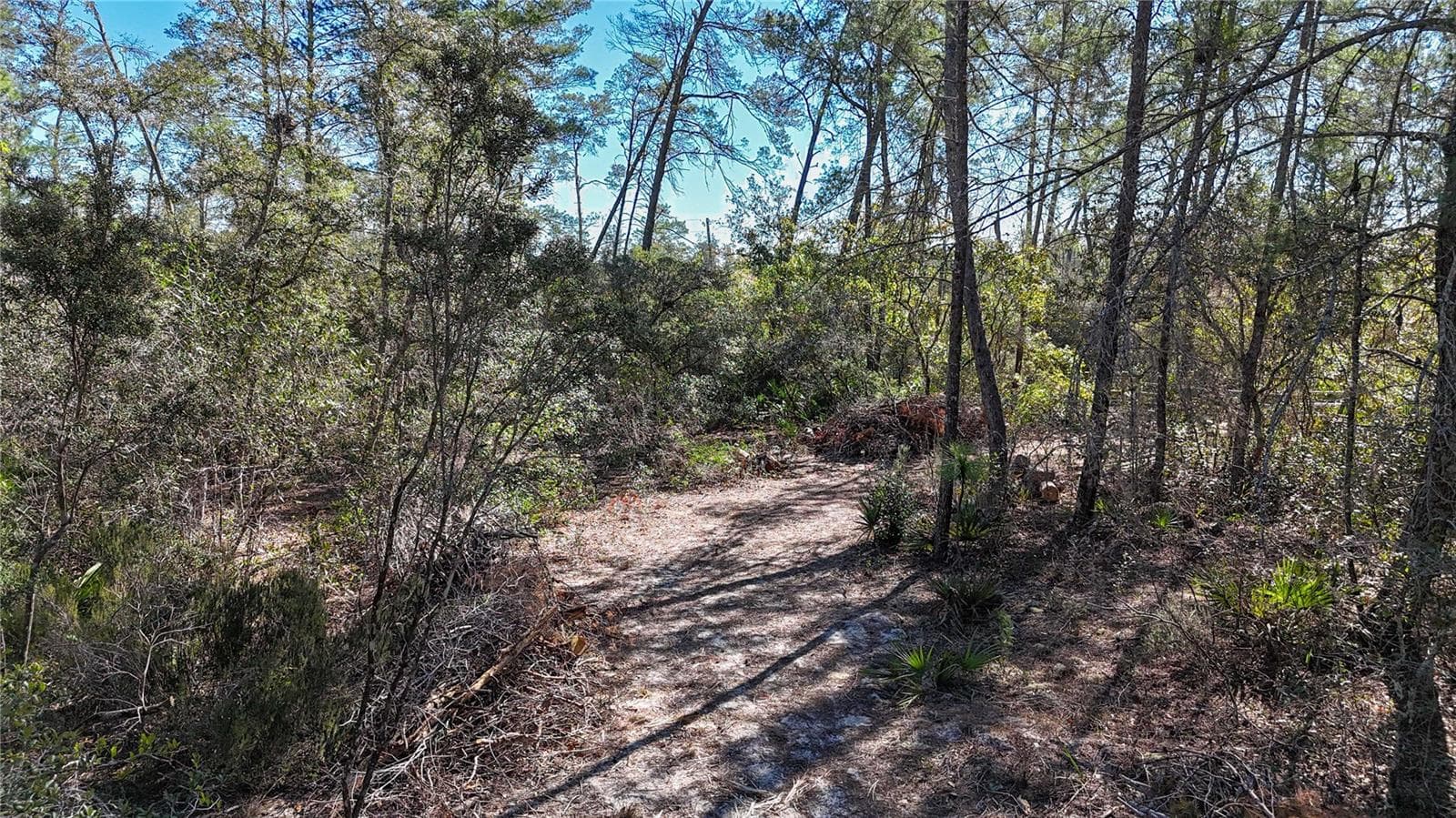 Land at 6646 N PERCALE TER, DUNNELLON, photo 20 of 23
