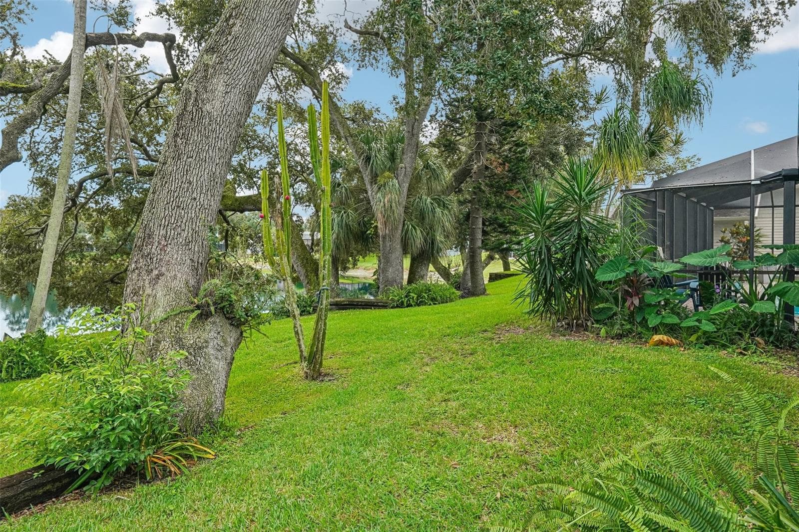 Single Family Residence at 5050 LAKE VALENCIA BLVD W, PALM HARBOR, photo 27 of 37