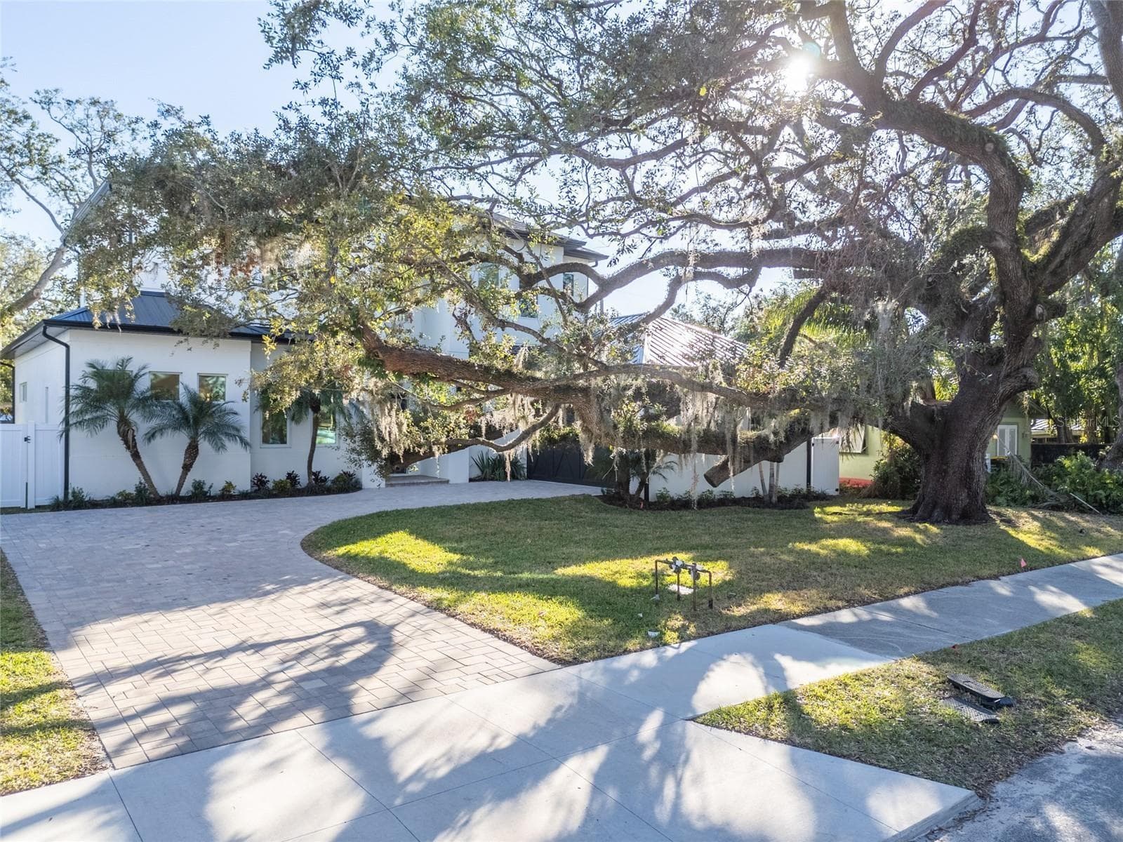 Beautiful Live Oak in the front yard, with an option to fence in the front yard. - 2420 FLOYD ST, SARASOTA