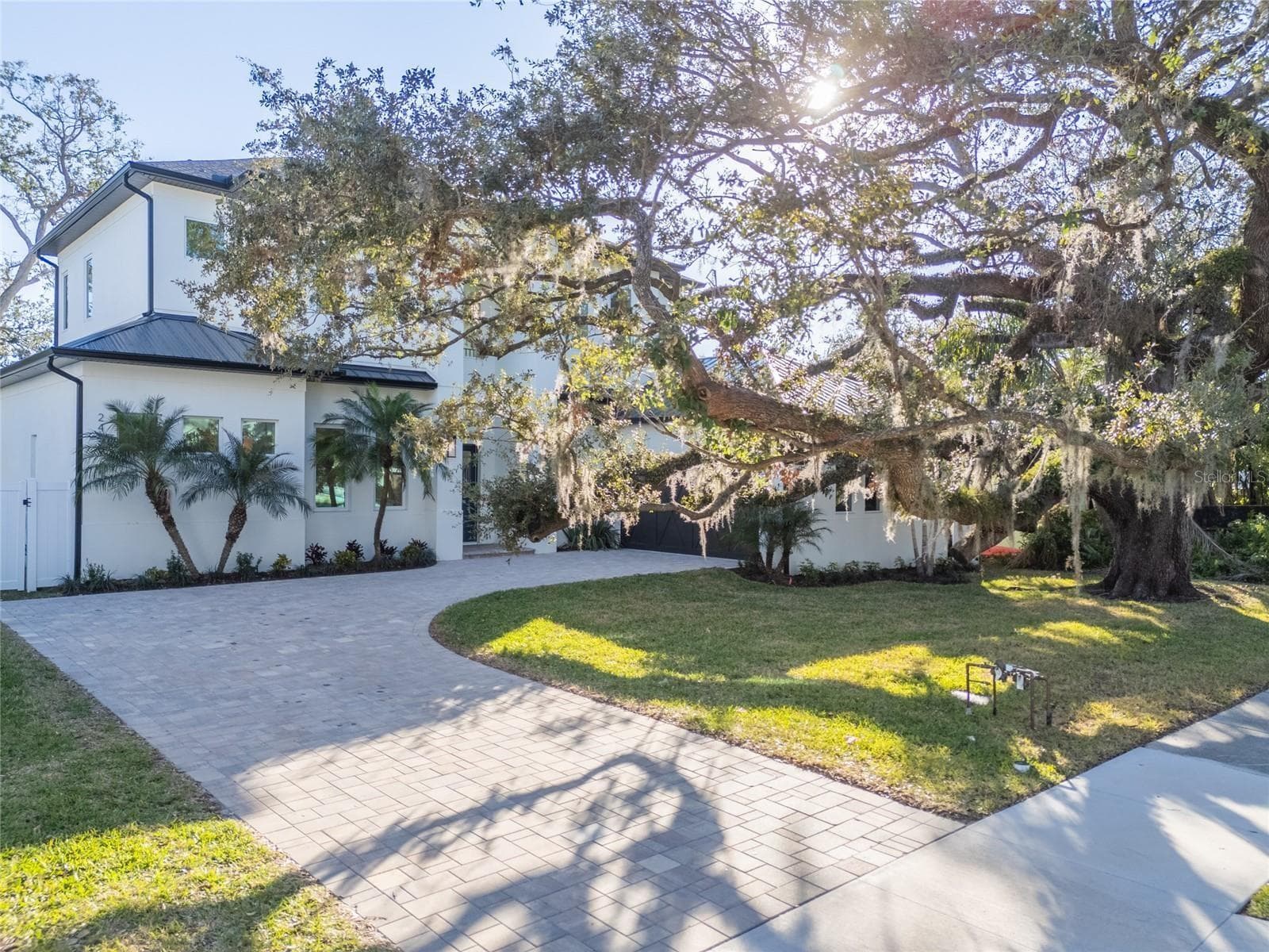 Beautiful Live Oak, there is an option to fence in the front yard. - 2420 FLOYD ST, SARASOTA
