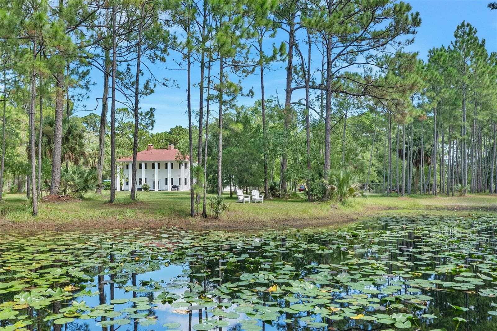 45 WINCHESTER RD