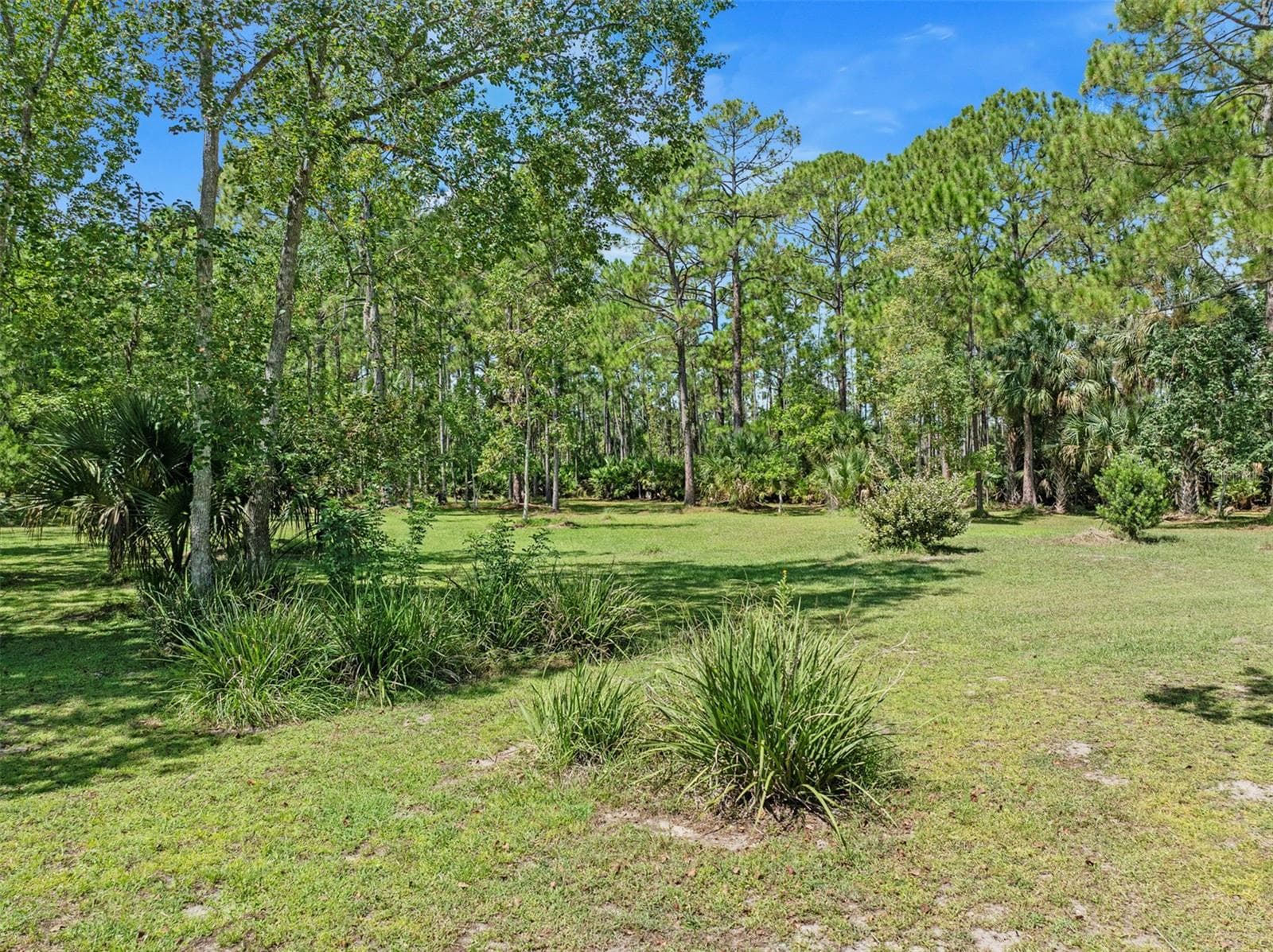 Single Family Residence at 45 WINCHESTER RD, ORMOND BEACH, photo 8 of 51