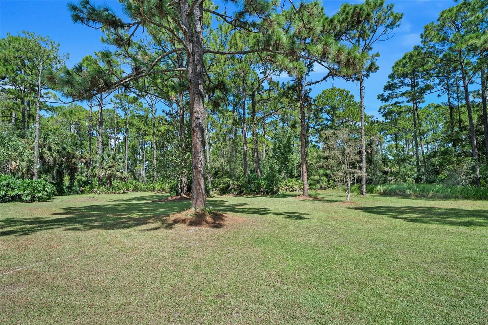 Single Family Residence at 45 WINCHESTER RD, ORMOND BEACH, photo 44 of 51