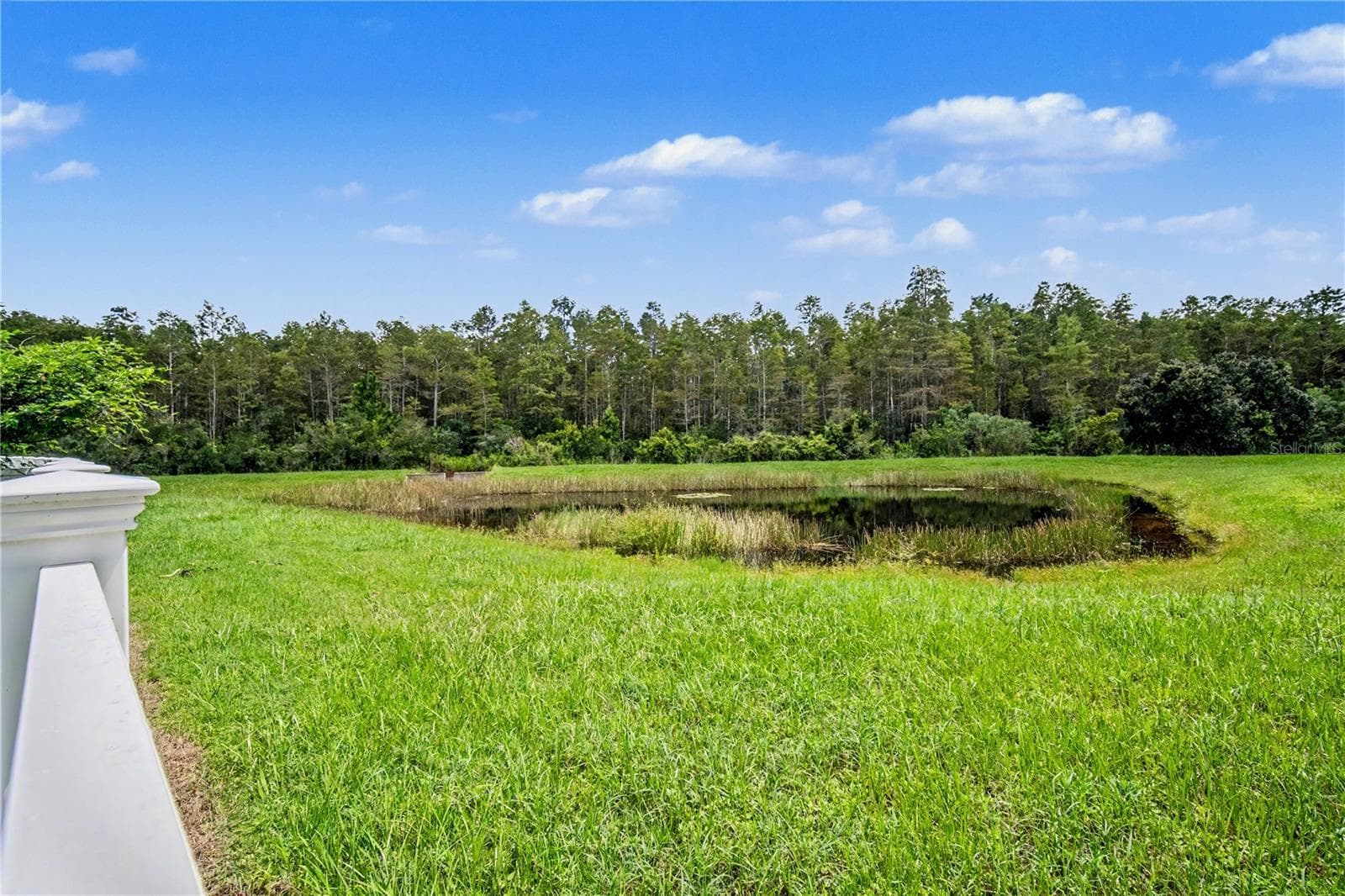 Backyard Water View Facing Northeast - 18756 BURNDALL CT, LAND O LAKES
