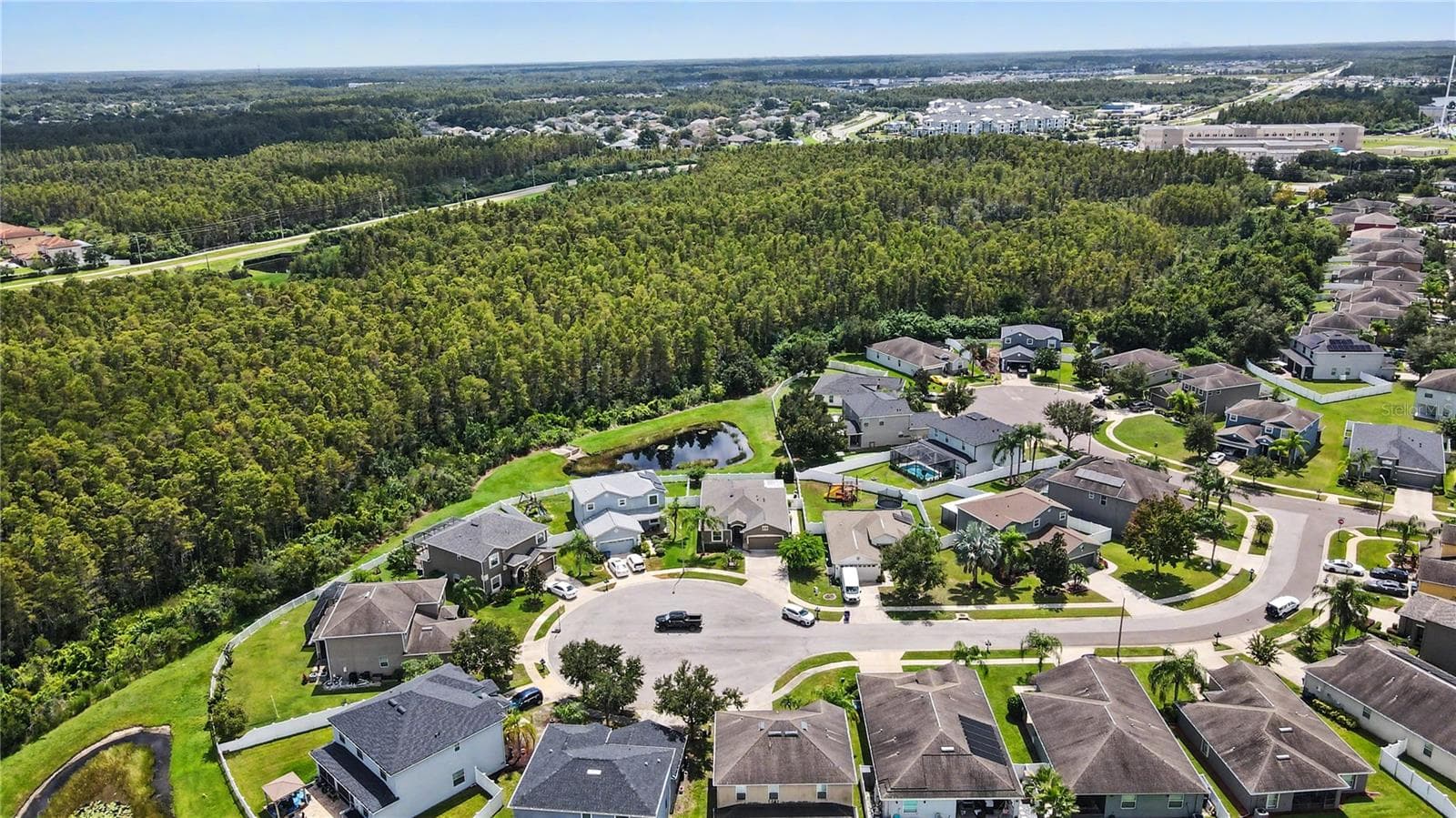 Conservation View Overhead Facing Southeast - 18756 BURNDALL CT, LAND O LAKES