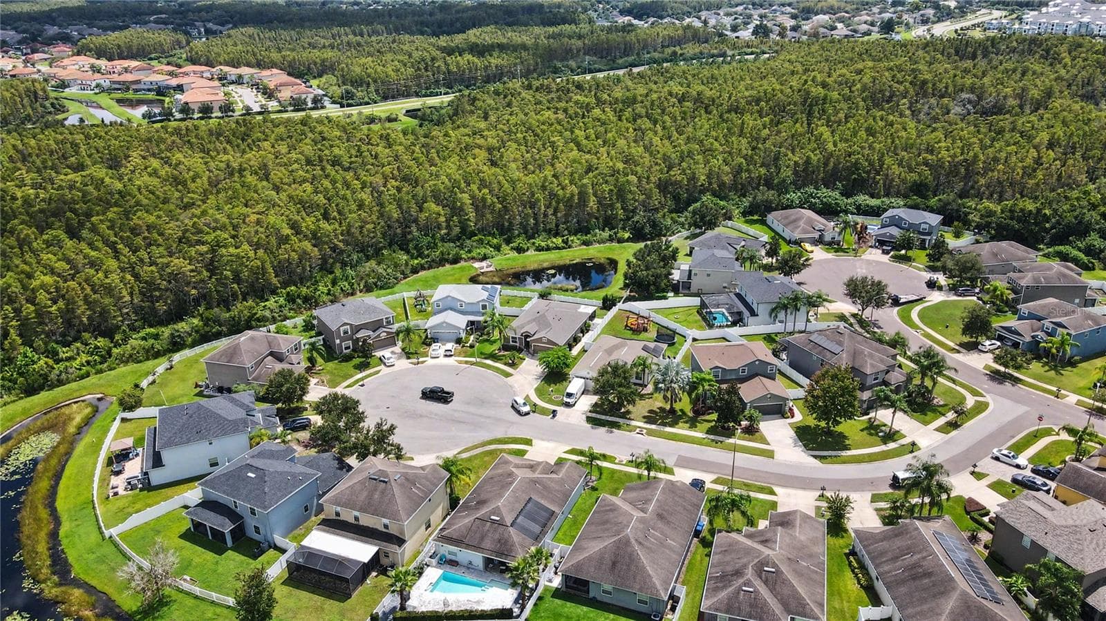 Conservation View Overhead Facing East 2 - 18756 BURNDALL CT, LAND O LAKES