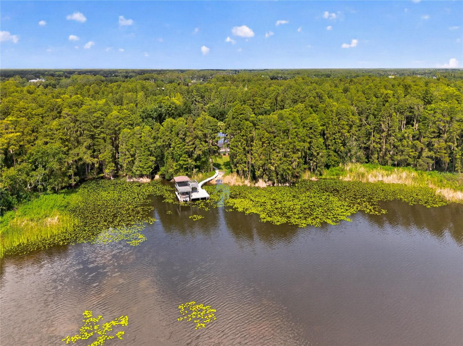 Single Family Residence at 21732 SHAMU DR, LAND O LAKES, photo 97 of 99
