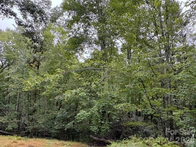 Single Family Residence at 20 Pheasant Run Road, Brevard, photo 18 of 24