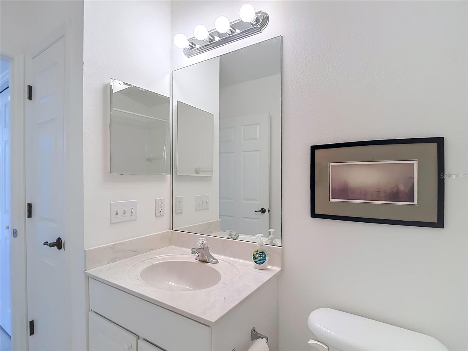Guest Bath - 572 SALMON CT, OLDSMAR