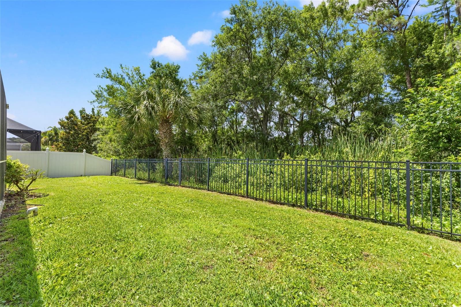 Single Family Residence at 11621 RENAISSANCE VIEW CT, TAMPA, photo 6 of 86