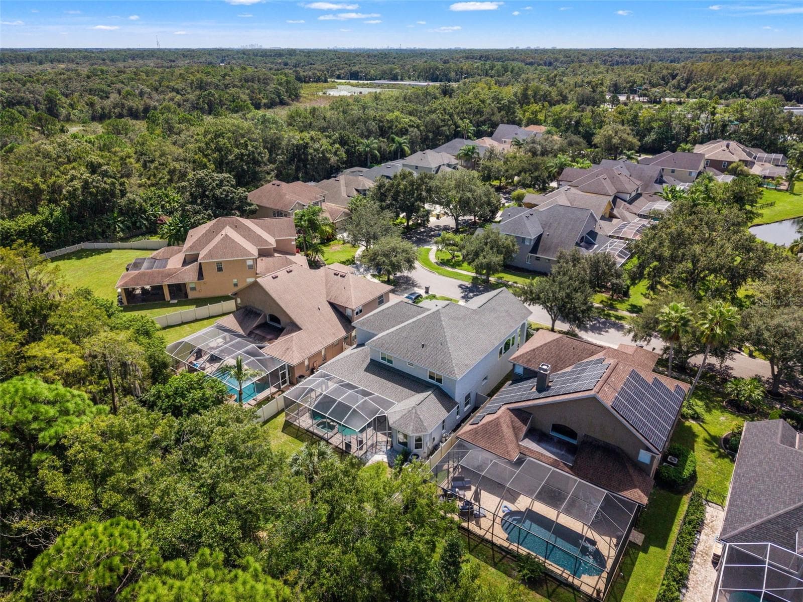 Single Family Residence at 11621 RENAISSANCE VIEW CT, TAMPA, photo 43 of 86