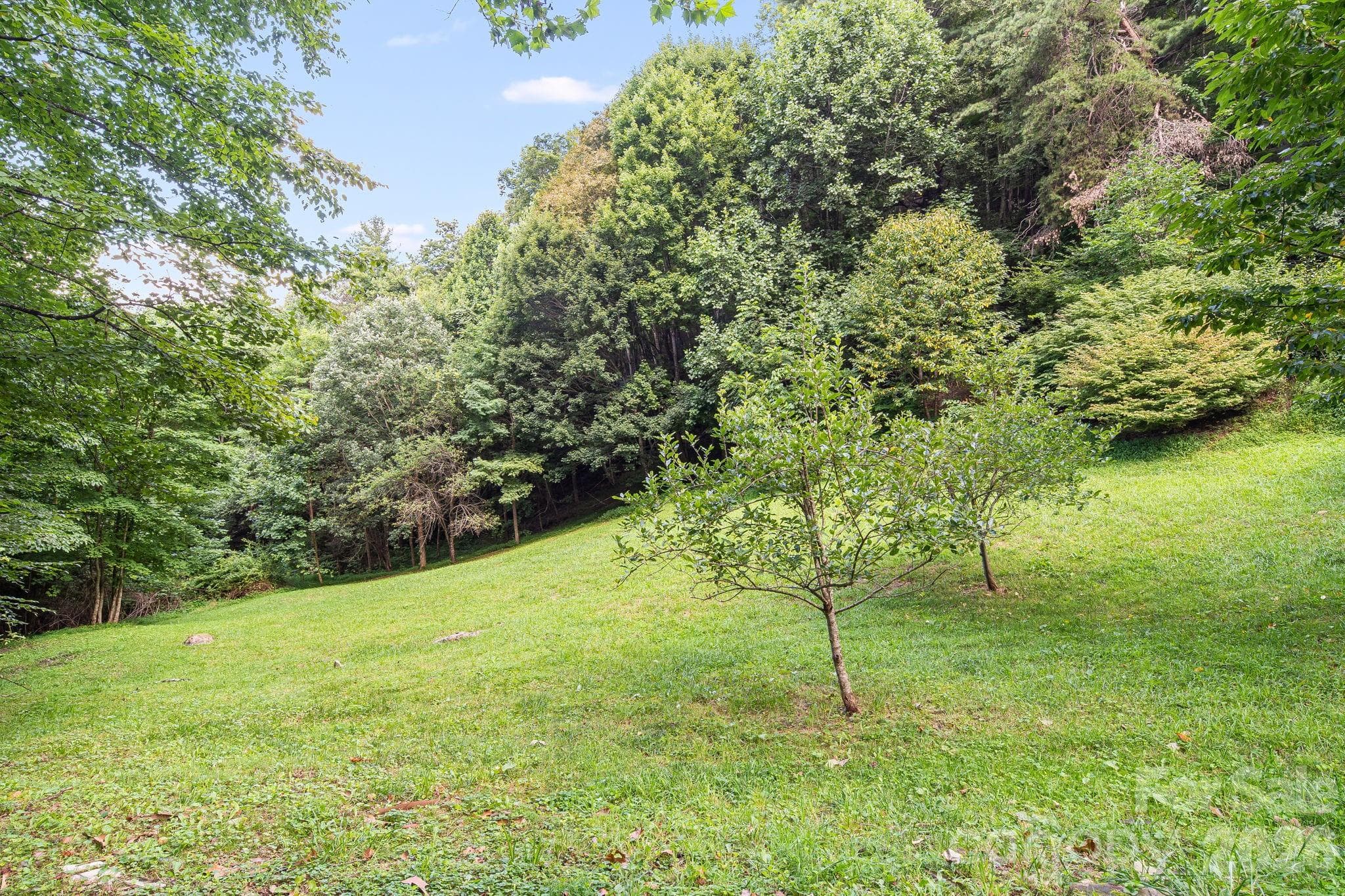 Single Family Residence at 125 Hyacinth Drive, Clyde, photo 22 of 27