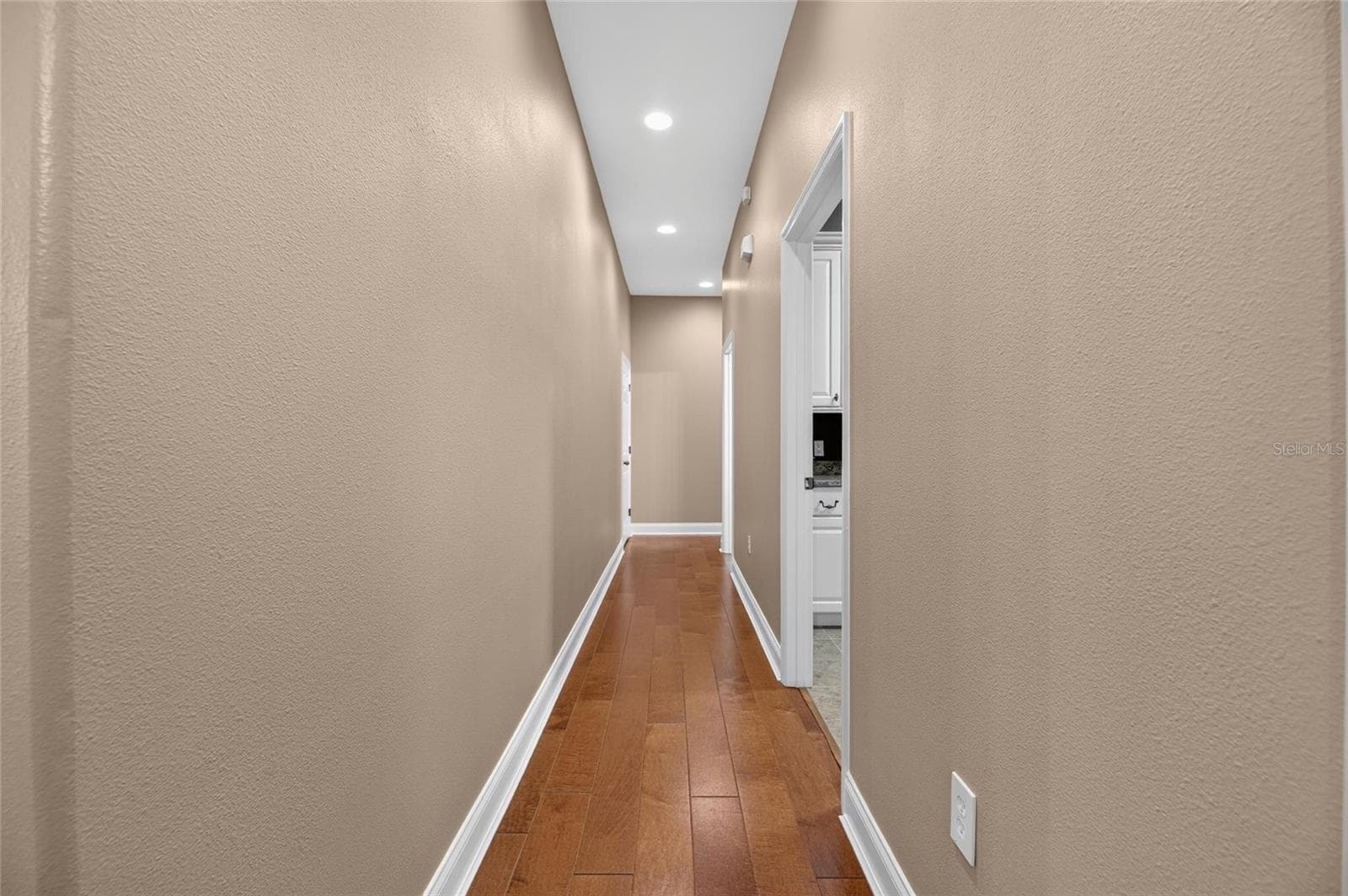 Hallway going down to guest suite - 6408 WALKERS GLEN DR, LAKELAND