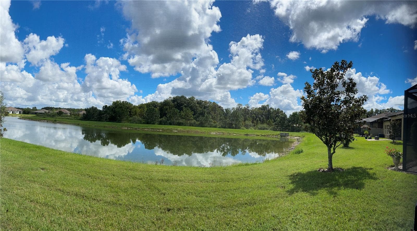 Pond and Conservation view - 4170 BARLETTA CT, WESLEY CHAPEL