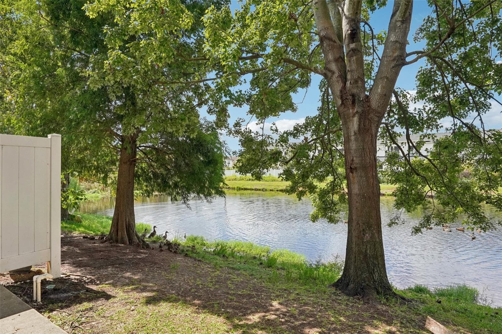 Townhouse at 4935 WHITE SANDERLING CT, TAMPA, photo 45 of 49