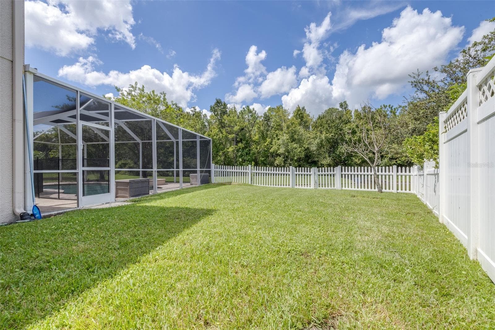 North side of home has large fenced yard - 27015 FIREBUSH DR, WESLEY CHAPEL
