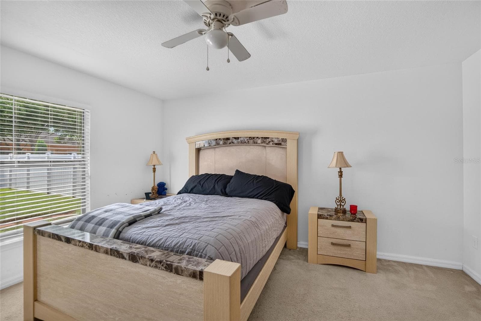 Single Family Residence at 14441 ALISTAR MANOR DR, WIMAUMA, photo 20 of 45