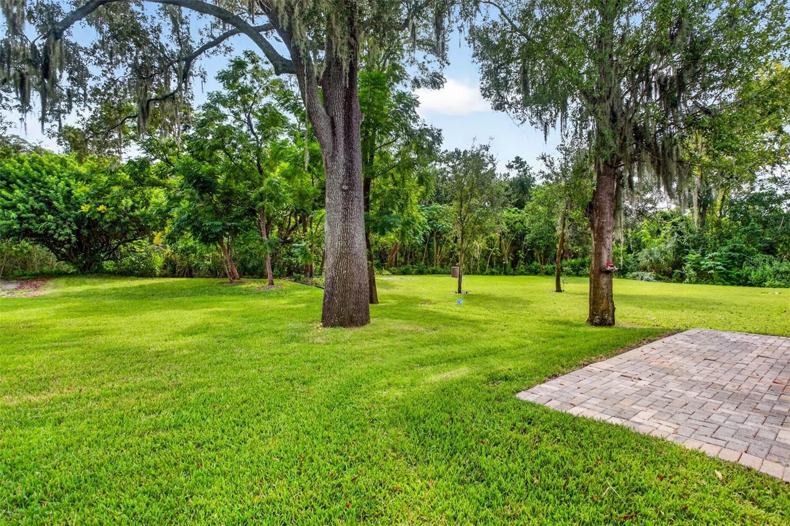 extended patio and backyard - 14619 ROCKY BROOK DR, TAMPA