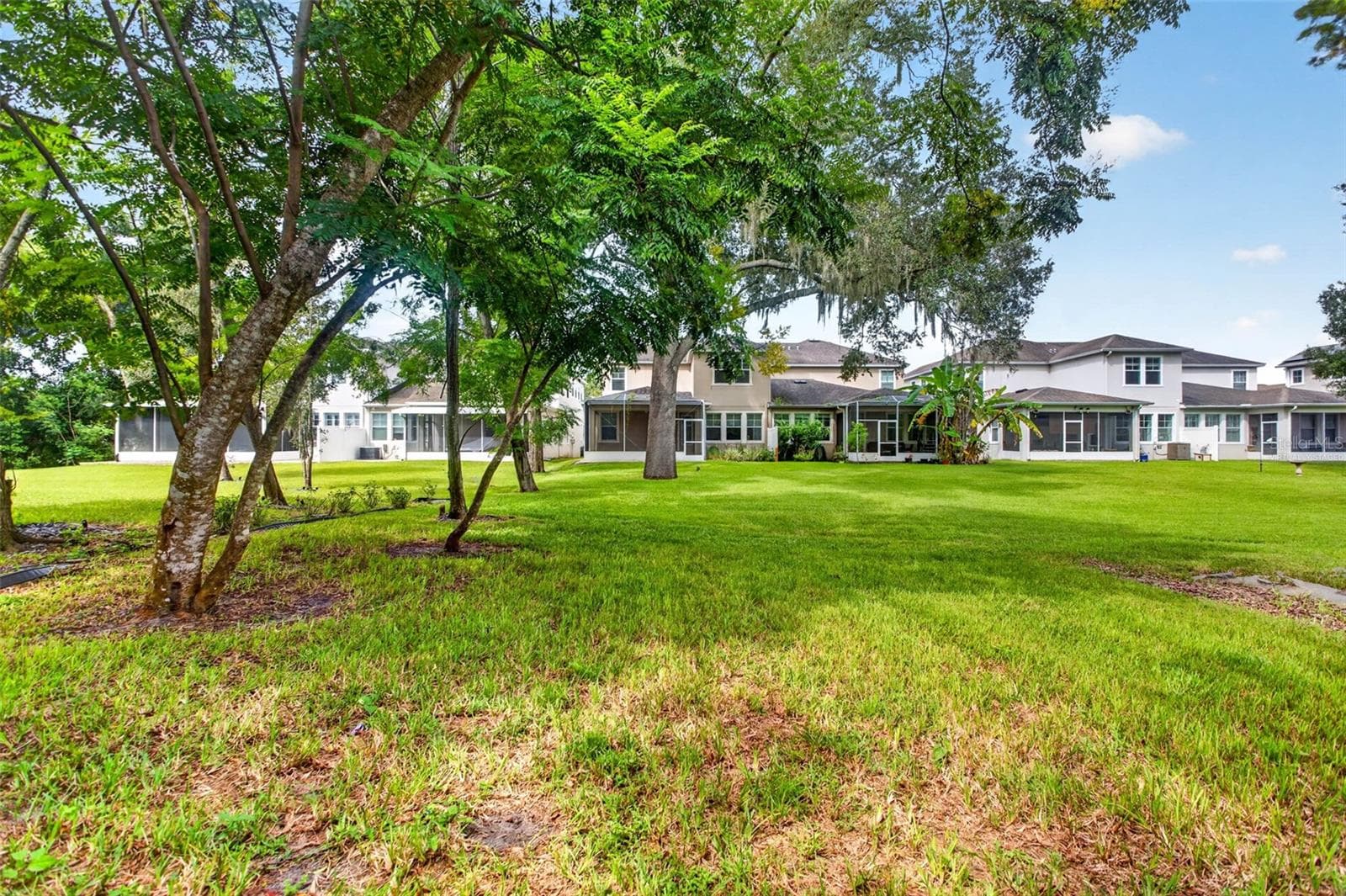 backyard - 14619 ROCKY BROOK DR, TAMPA