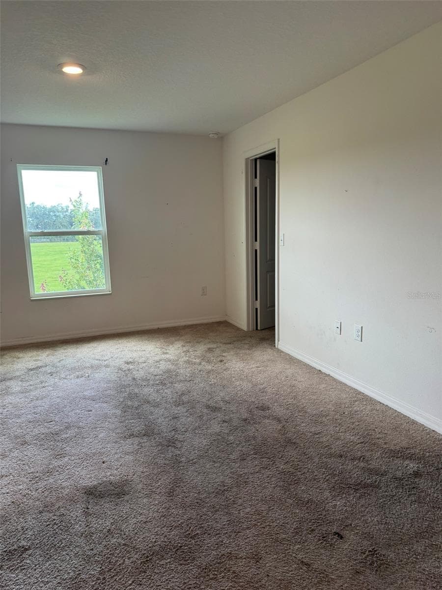 Primary Bedroom - 5421 COMPANION LN, TAMPA