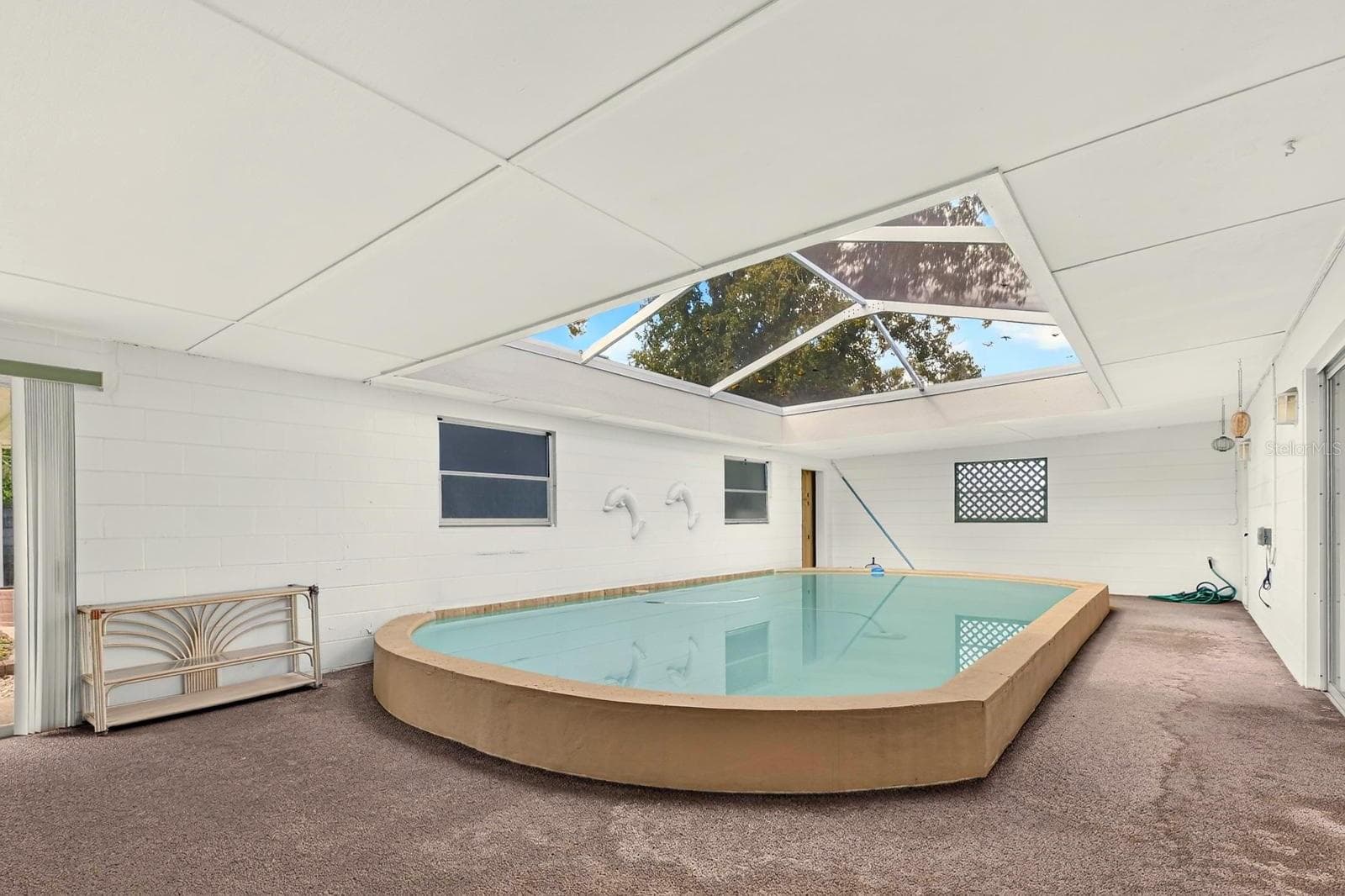 Indoor/Outdoor Lanai/Pool - 521 S LARRY CIR, BRANDON