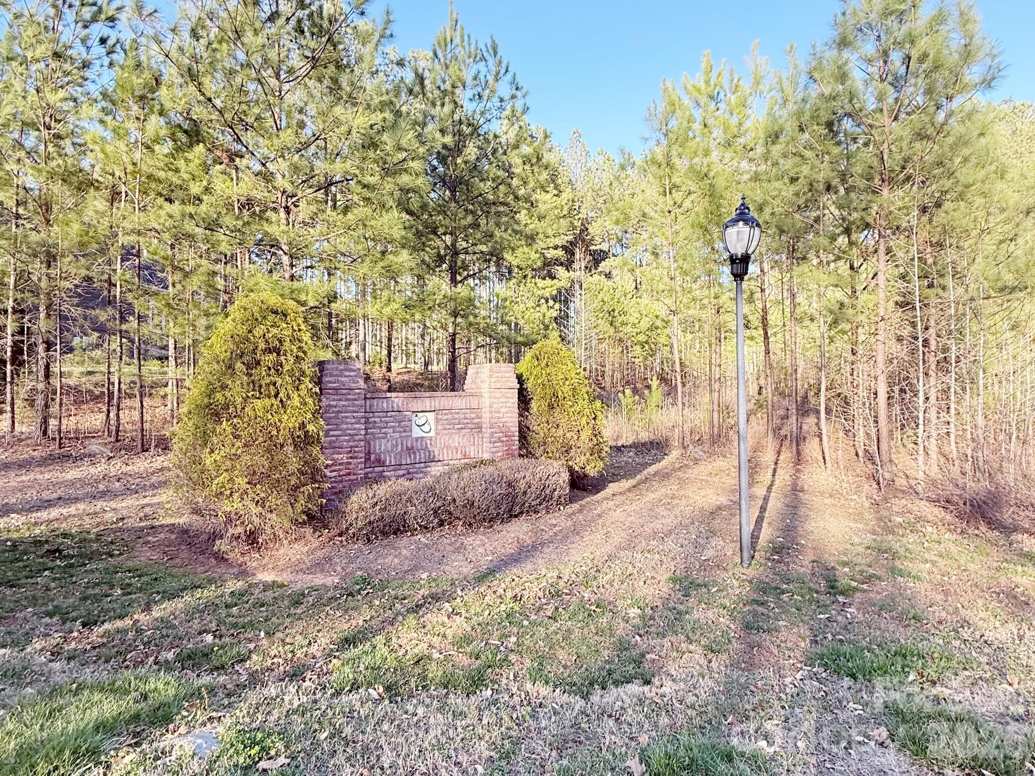 00 Winding Forest Drive