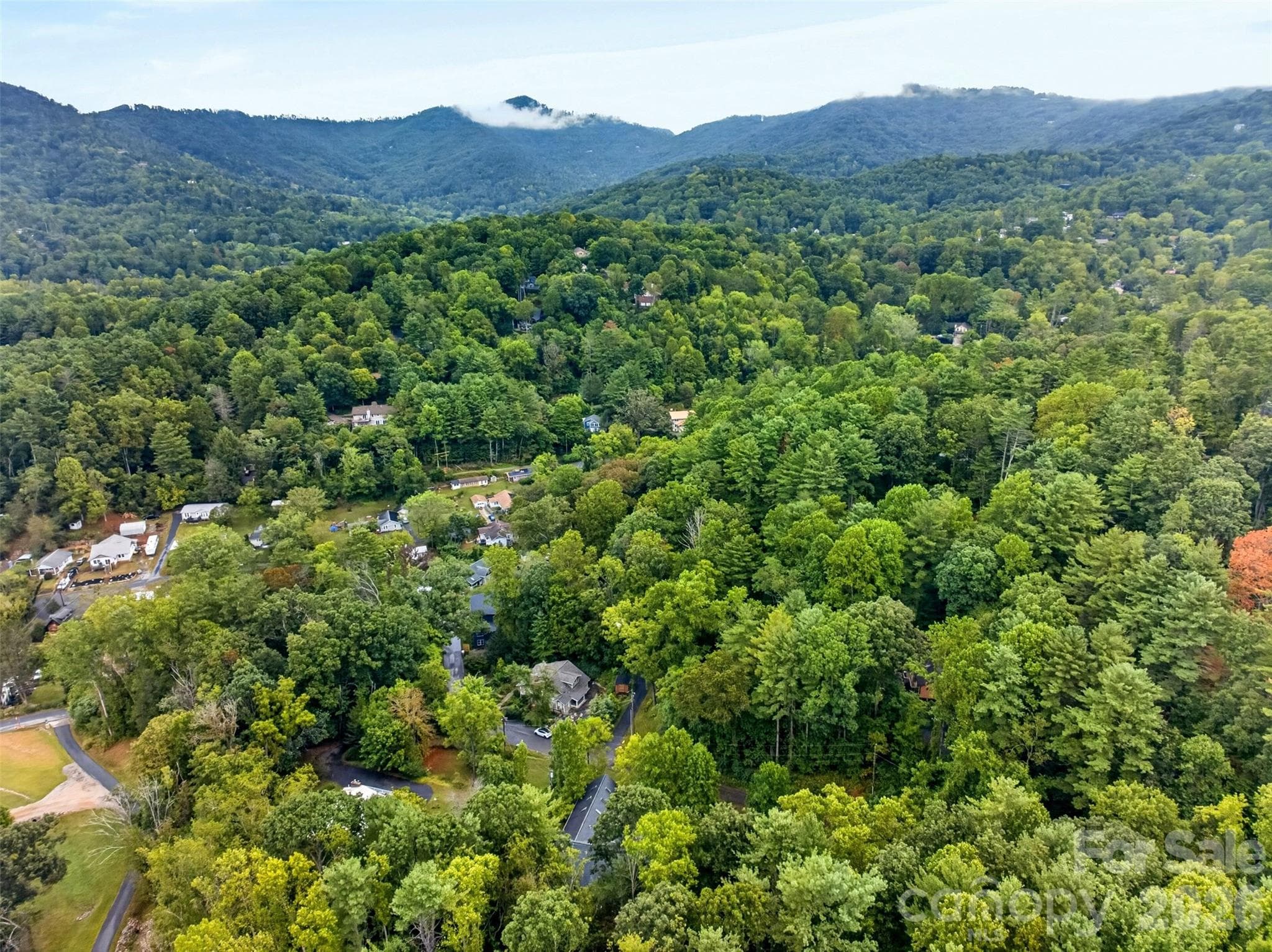 The Blue Ridge Parkway is at the end of the valley - 39 Spooks Branch Extension, Asheville