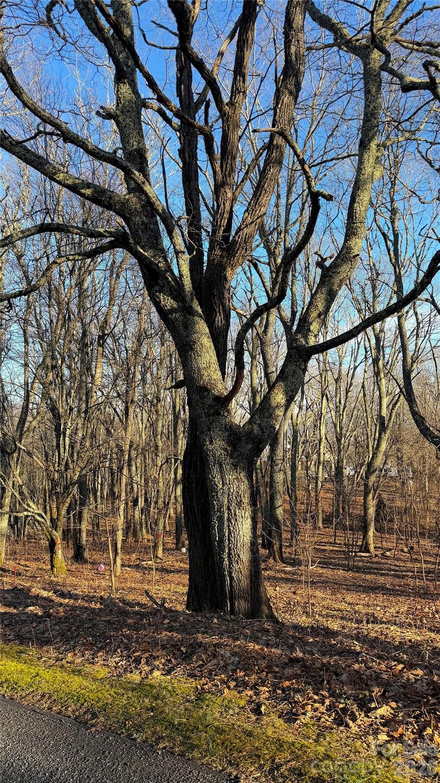 Lot at 114 Eagle View Circle, Waynesville, photo 3 of 31