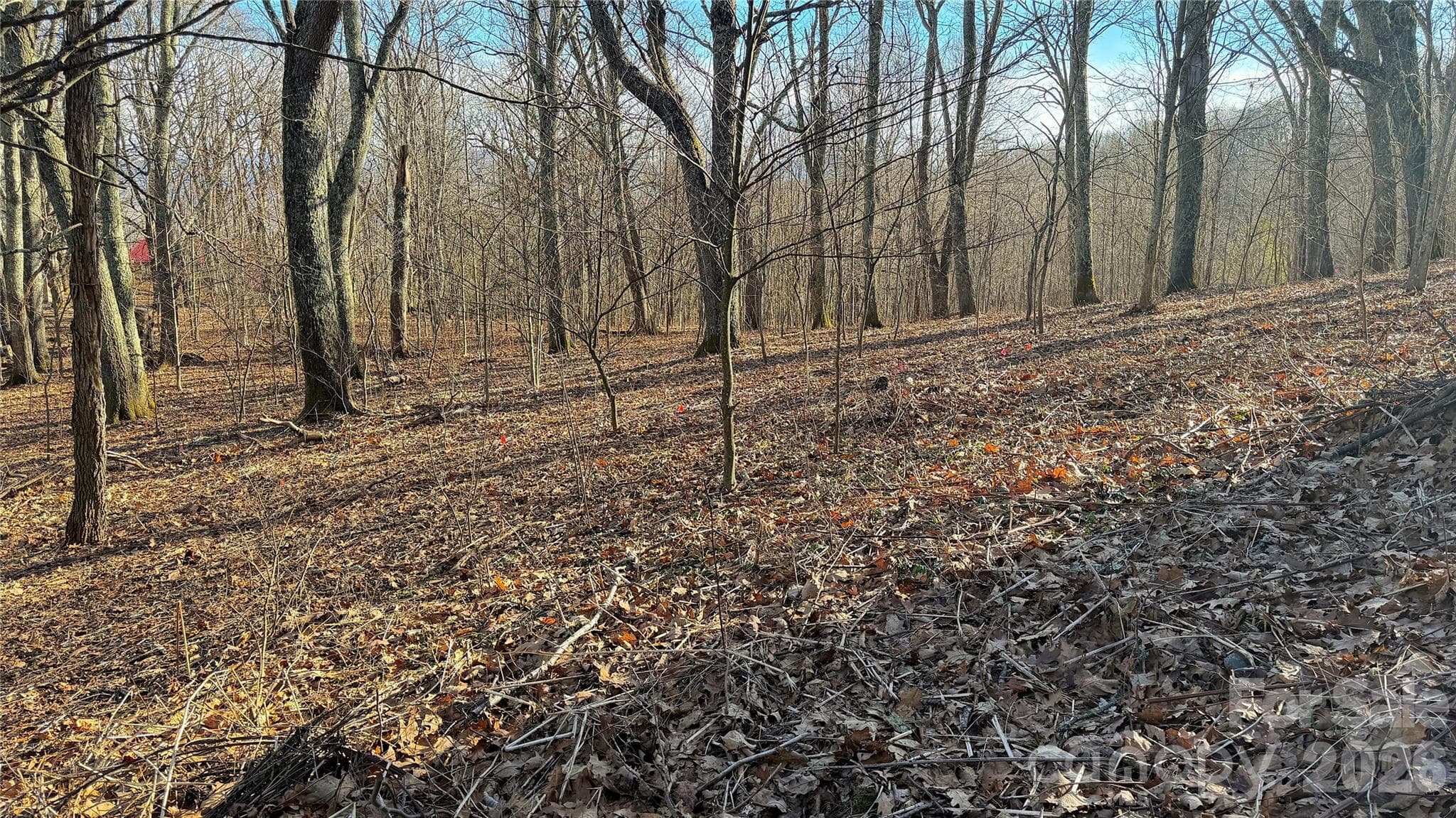 Lot at 114 Eagle View Circle, Waynesville, photo 4 of 31