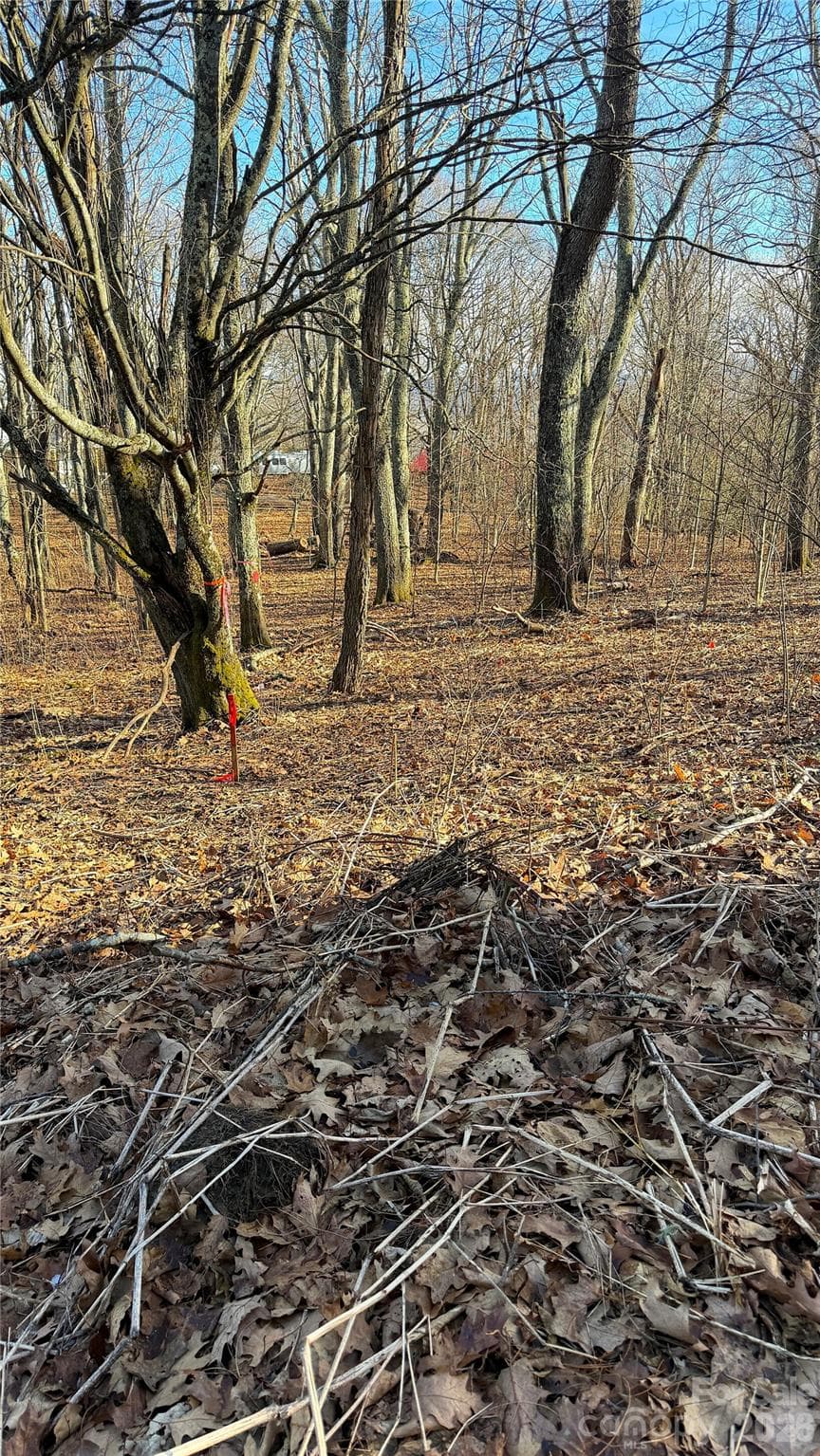 Lot at 114 Eagle View Circle, Waynesville, photo 22 of 31